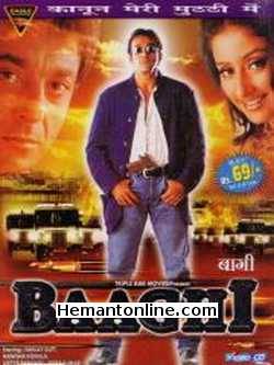 (image for) Baaghi-2000 DVD